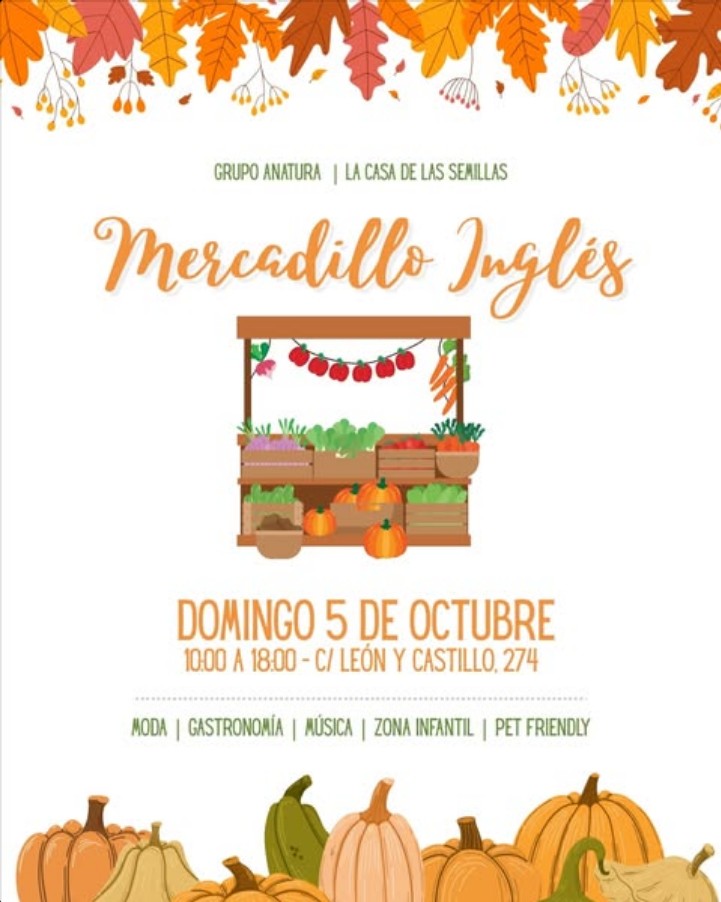 Market - Mercadillo inglés en la Casa de Las Semillas de Las Palmas de Gran Canaria.