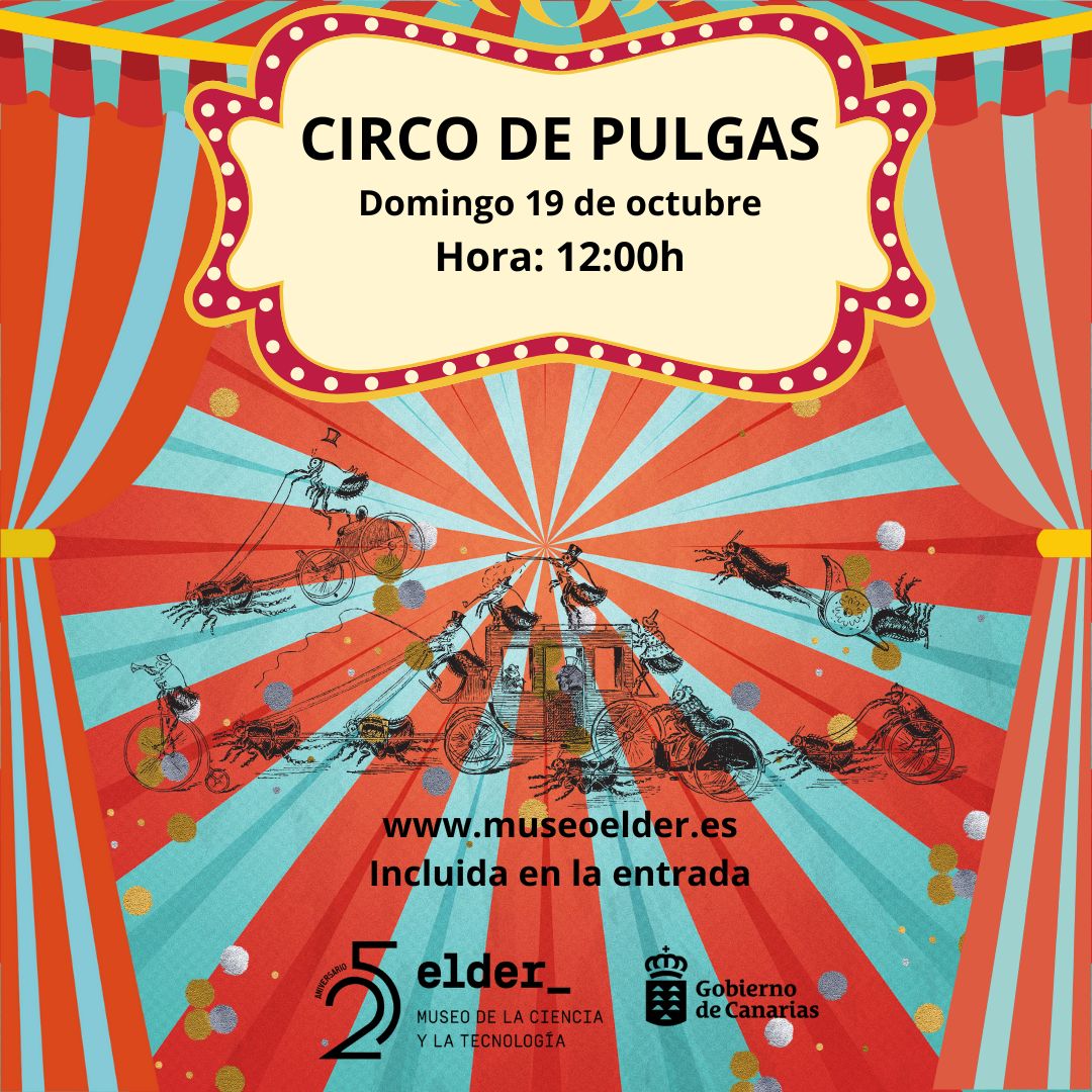 Espectáculo Infantil "El Gran Circo de Pulgas" incluido con tu entrada del Museo Elder de Las Palmas.