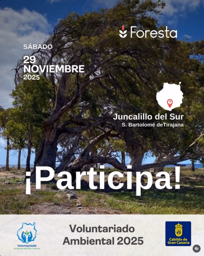 El Cabildo de Gran Canaria y @fundacion_foresta lanzan el Plan de Voluntariado Ambiental.