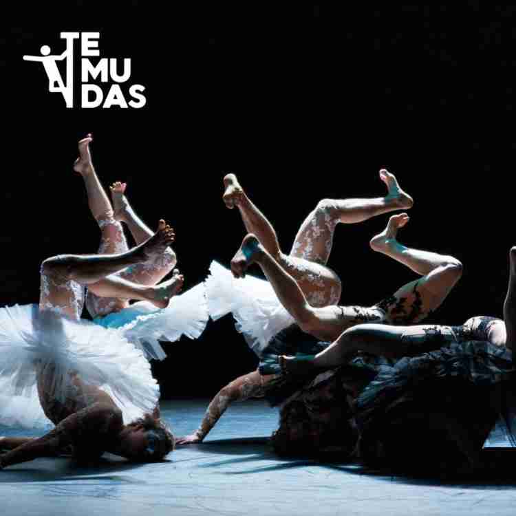 Festival Temudas - Circo y Danza - Le Lac des Cygnes de la compañía L'eolienne en la Plaza de Canarias (Trasera de Santa Catalina), Las Palmas de Gran Canaria.