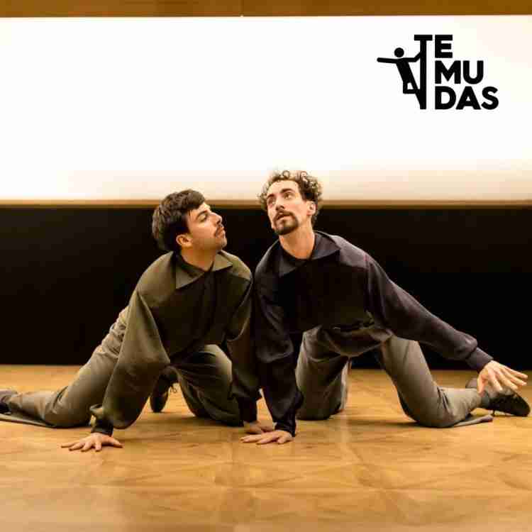 Festival Temudas - Danza - "Los Perros" de la Compañía Led Silhoulette  en la Plaza de Canarias (Trasera de Santa Catalina), Las Palmas de Gran Canaria.
