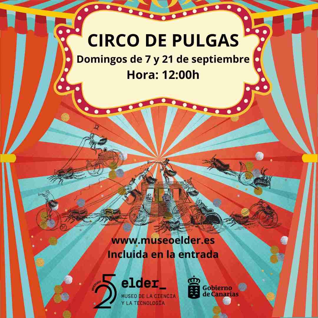 Espectáculo Infantil "El Gran Circo de Pulgas" incluido con tu entrada del Museo Elder de Las Palmas.