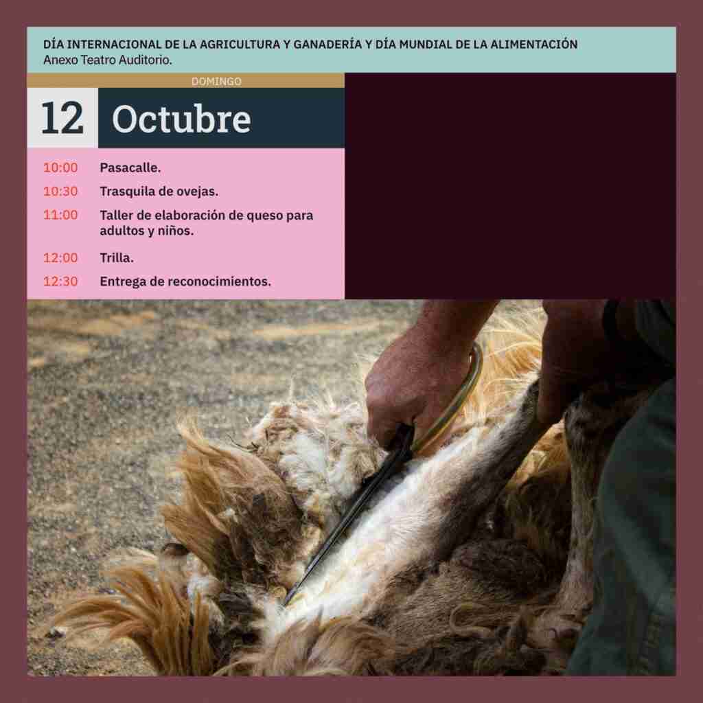 DÍA INTERNACIONAL DE LA AGRICULTURA Y GANADERÍA Y DÍA MUNDIAL DE LA ALIMENTACIÓN