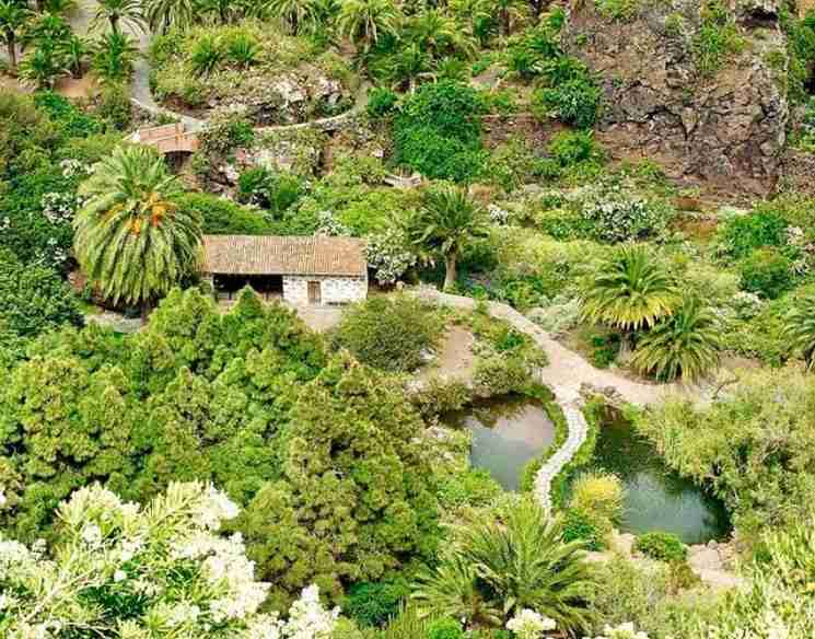 Visita guiada - Jardín, Viñedo e Historia