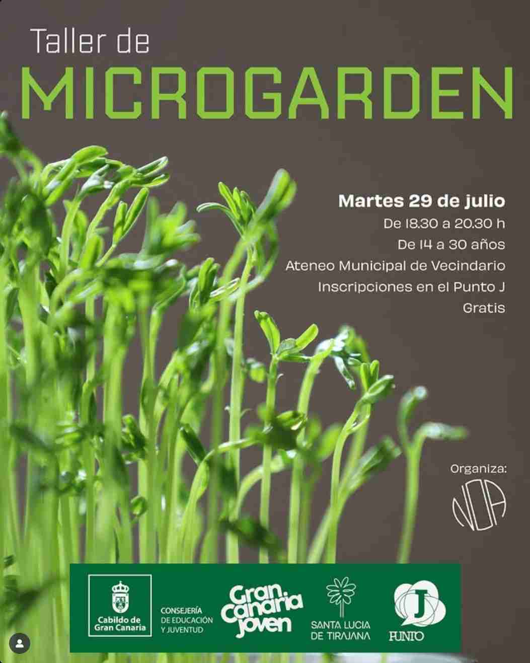 Taller - Microgarden