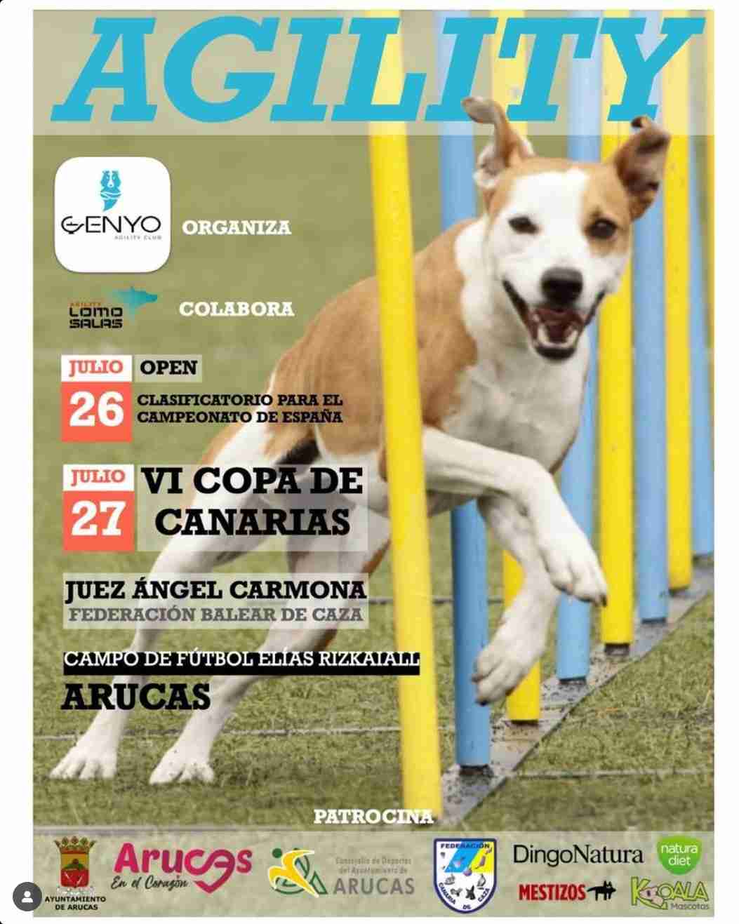 Open clasificatorio Agility