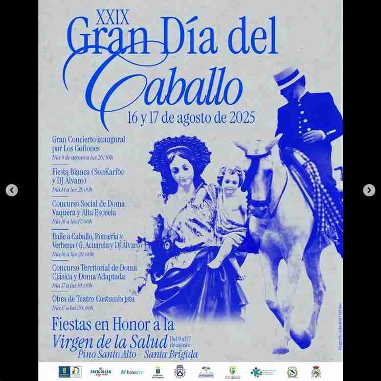 Fiestas En Honor a la Virgen de la Salud Pino Santo Alto