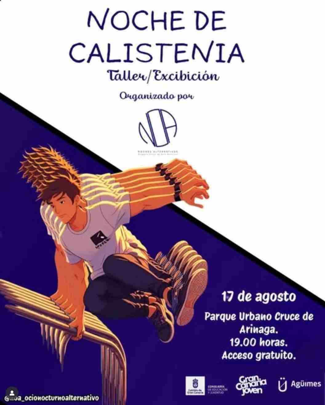 Taller - Noche de calistenia