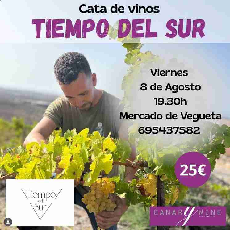 Cata - Vinos "Tiempo del sur"