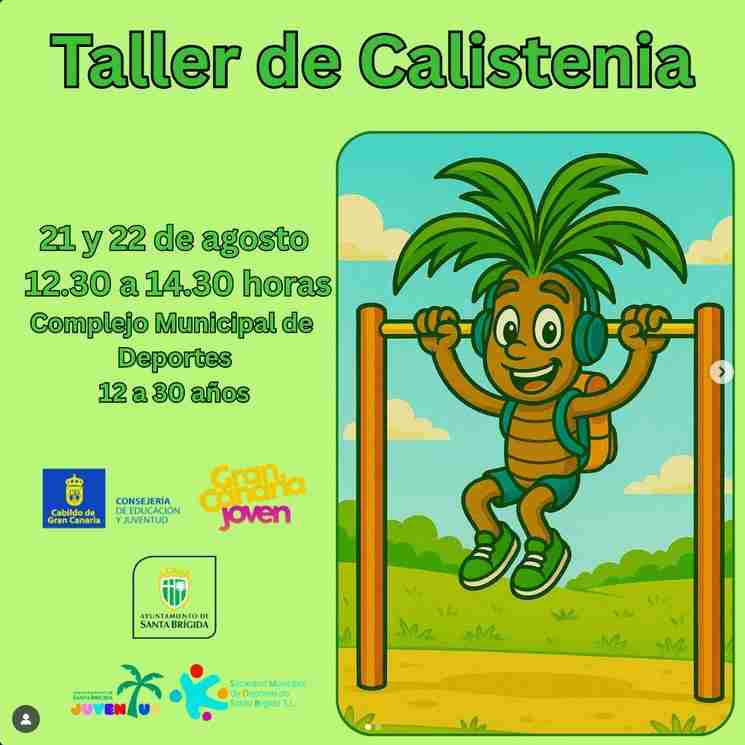 Taller - Calistenia