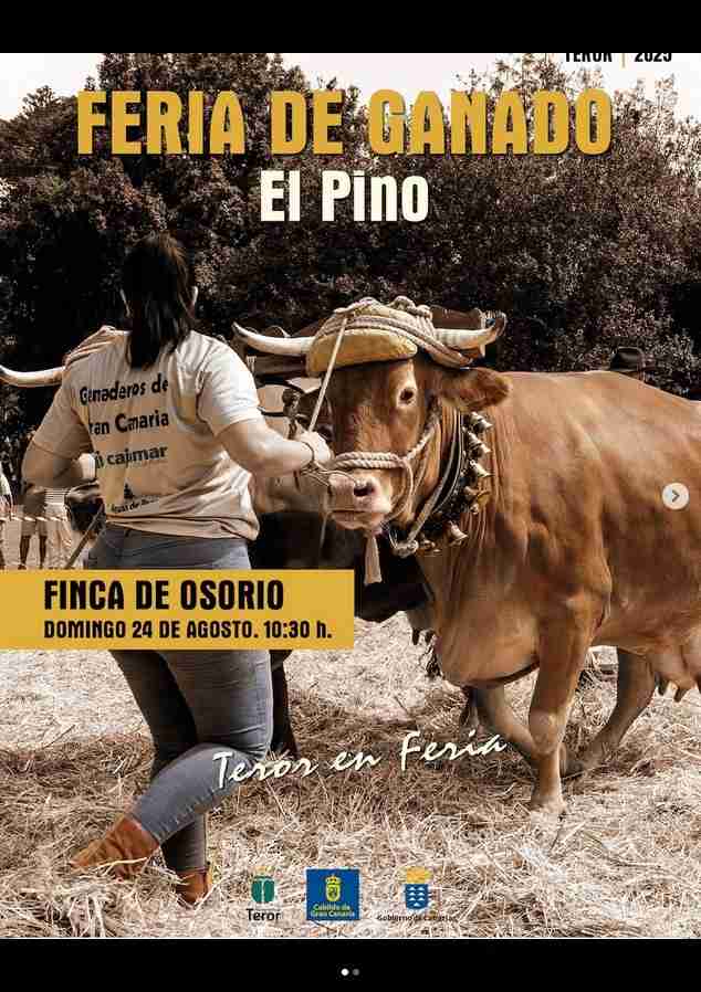 Feria de Ganado Fiestas del Pino