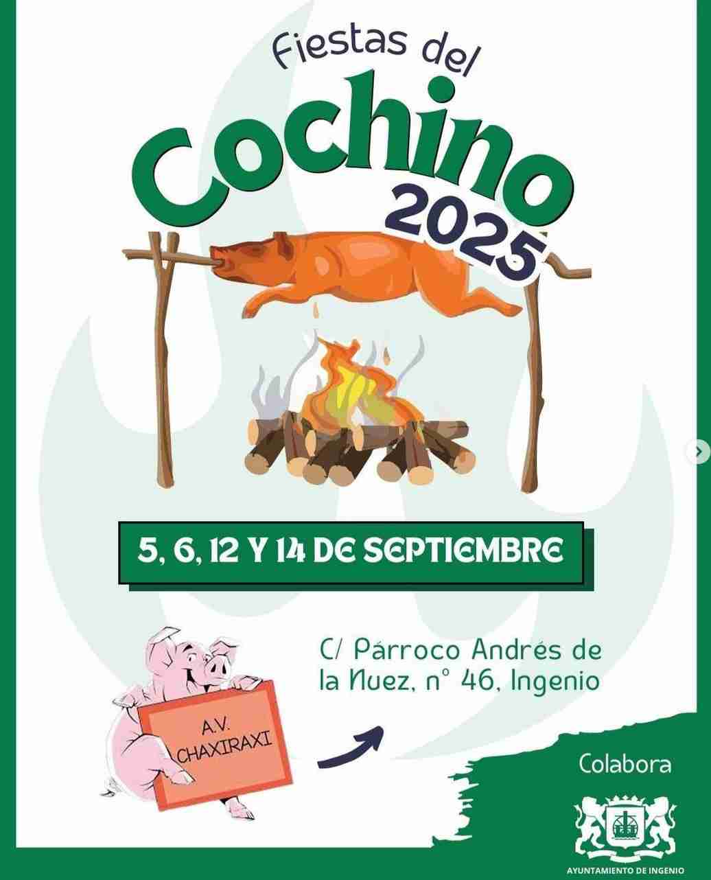 Programa de las Fiestas del Cochino en La Tarifa, Ingenio, Gran Canaria