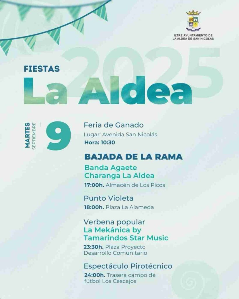 Fiestas - Bajada La Rama Fiestas San Nicolás