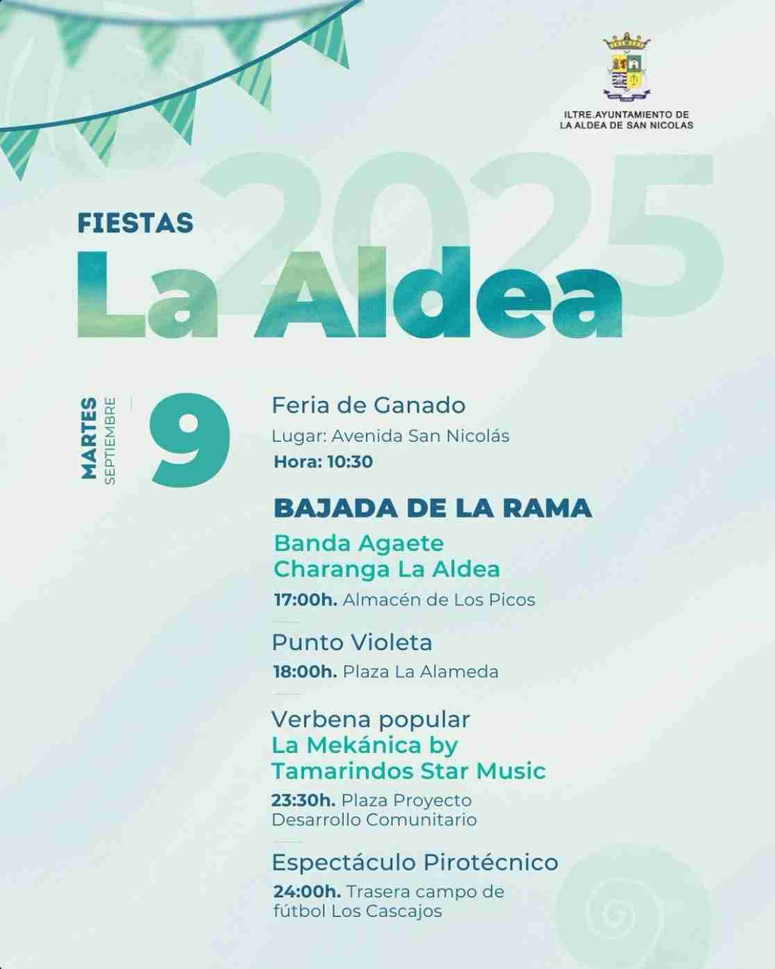 Fiestas - Bajada La Rama Fiestas San Nicolás