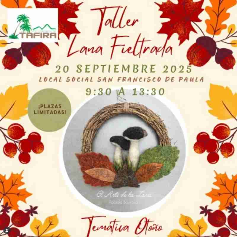Taller de Lana Fieltrada en el Local Social San Francisco de Paula, Las Palmas de Gran Canaria.