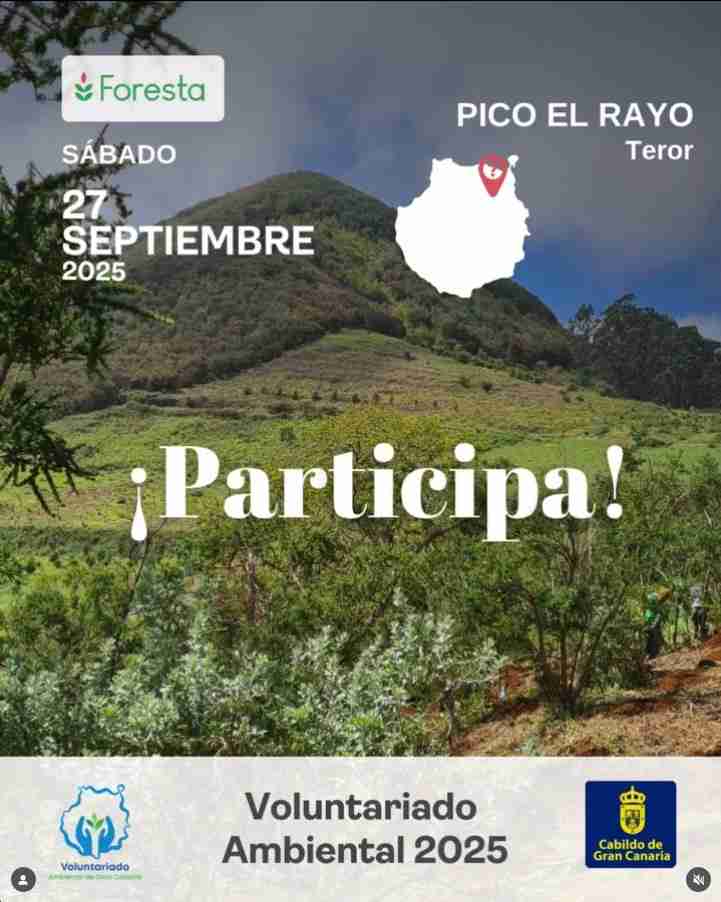 El Cabildo de Gran Canaria y @fundacion_foresta lanzan el Plan de Voluntariado Ambiental - Eventos Gran Canaria