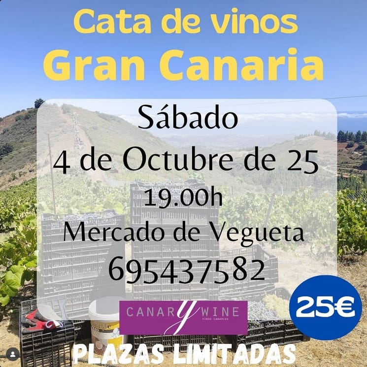 Cata de Vinos de Gran Canaria en el Mercado de Vegueta, Las Palmas de Gran Canaria.