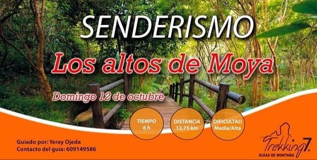 Senderismo - Altos de Moya, Gran Canaria, por Trekking 7.