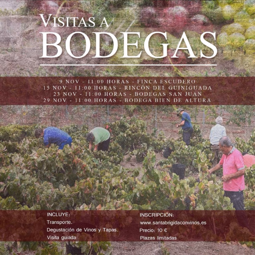 Gastro - Visitas a Bodegas de Santa Brígida con Vinos, Gran Canaria.