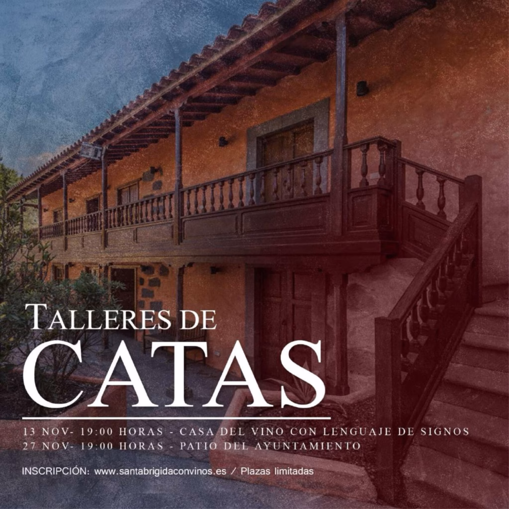 Talleres de Cata de vinos de Santa Brígida con Vinos, Gran Canaria.