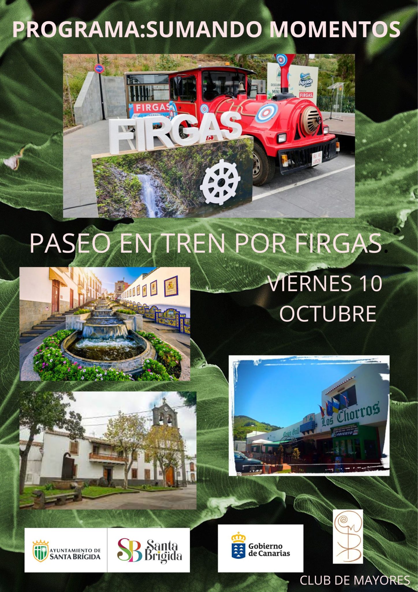 Visita Guiada "Sumando momentos" a Firgas en tren para Mayores organizada por el Club Municipal de Mayores de Santa Brígida, Gran Canaria.