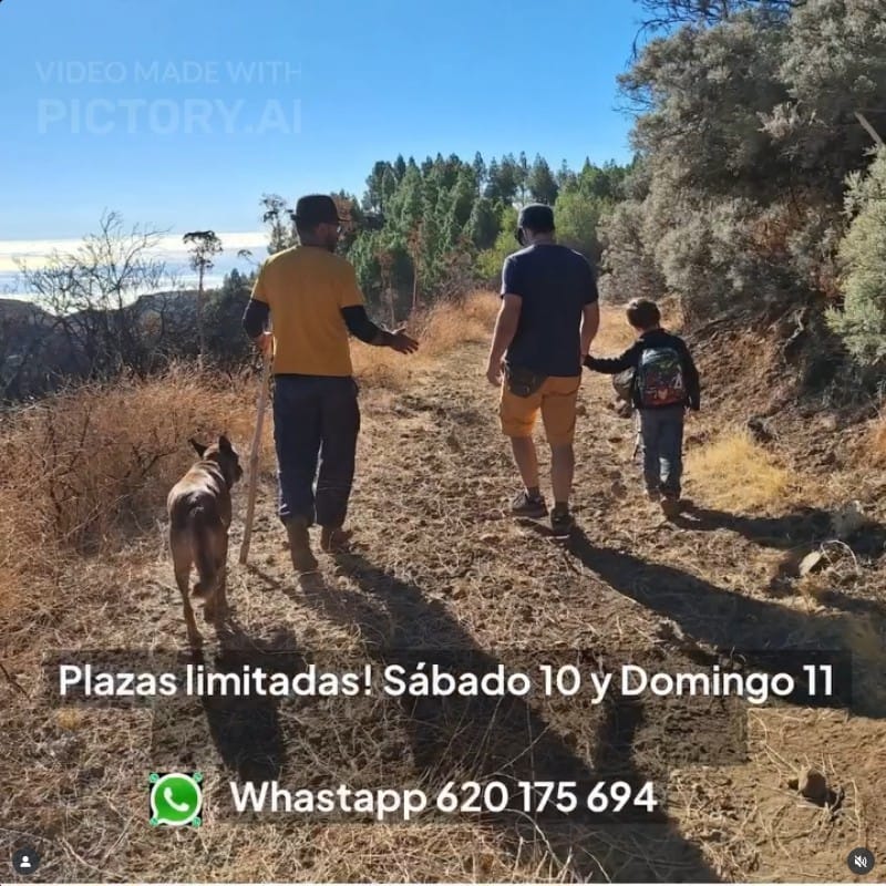 Experiencia de Pastoreo ideal para familiar en el entorno de la Caldera de los Marteles, Valsequillo, Gran Canaria.