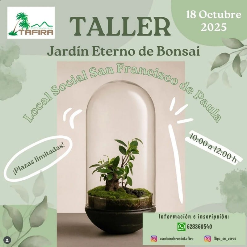 Taller – Jardín eterno de Bonsai