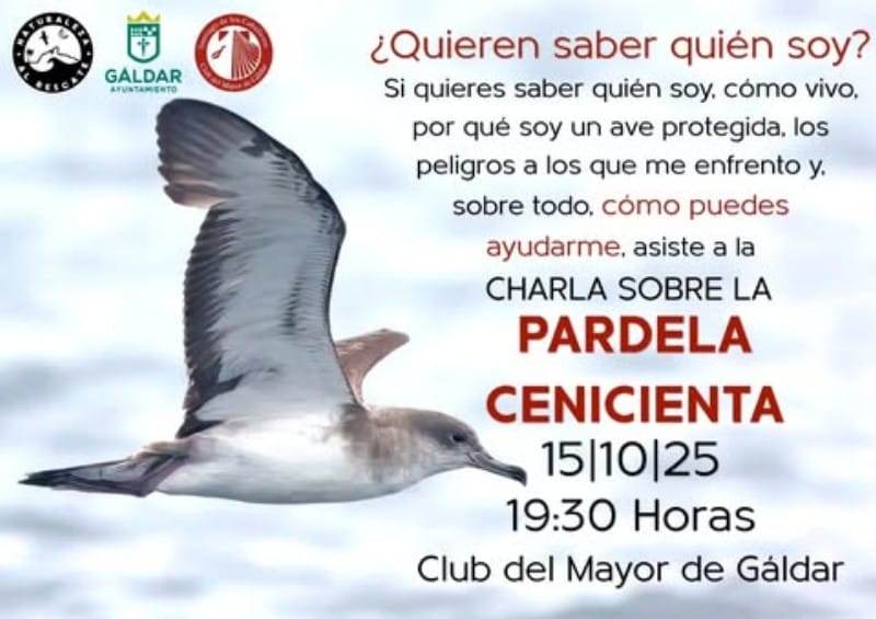 Charla – Protección de la Pardela Cenicienta