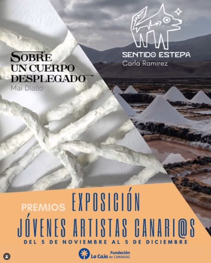 Inauguración de la Exposición: "Jóvenes artistas canari@s" en el CICCA de Las Palmas de Gran Canaria.
