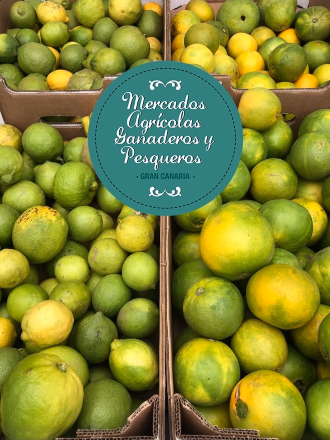 Mercado Agrícola en la Plaza de Santiago de Gáldar, Gran Canaria.
