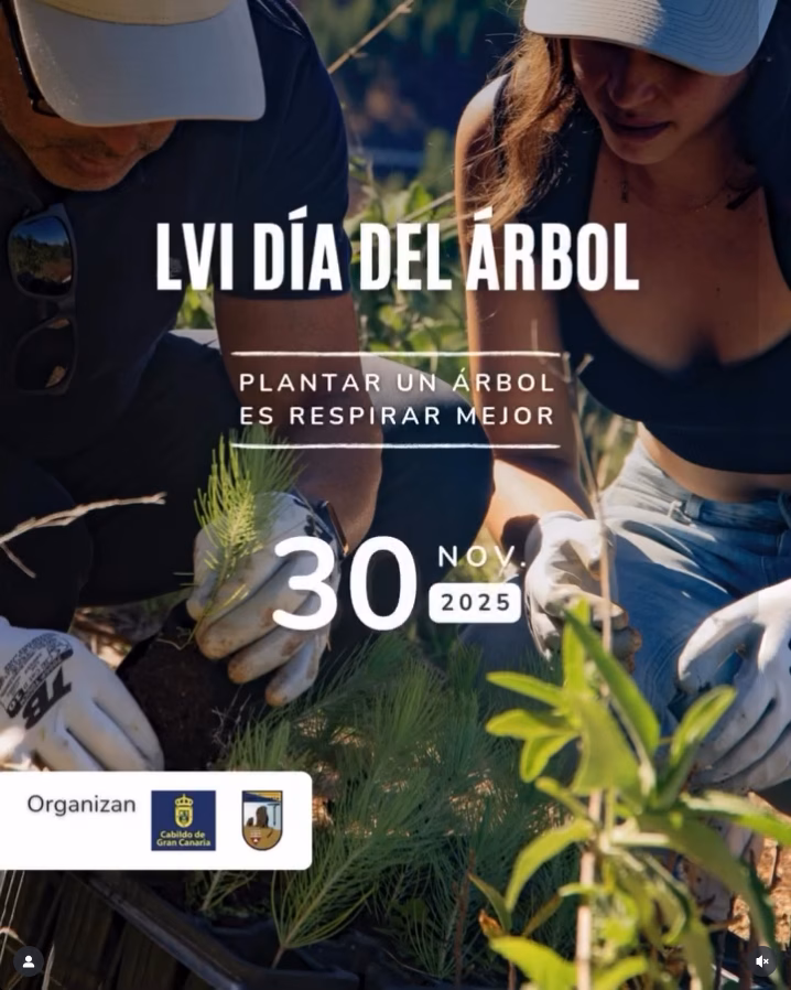 LVI Edición del Día del Árbol, en la Montaña del Capitán, entre Moya y Gáldar, Gran Canaria.