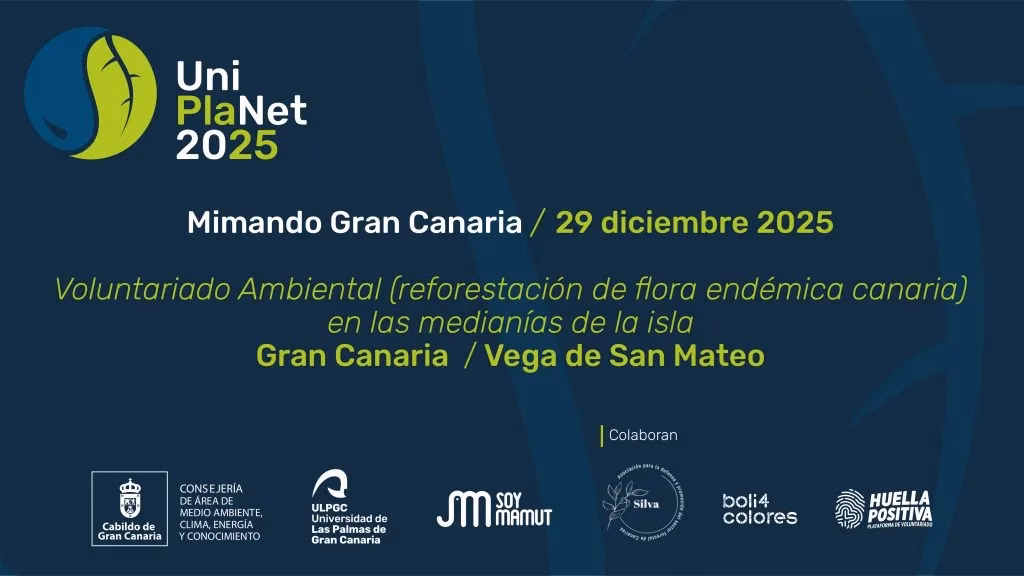 Voluntariado - UniPlanet: Mimando Gran Canaria en Vega de San Mateo, Gran Canaria.