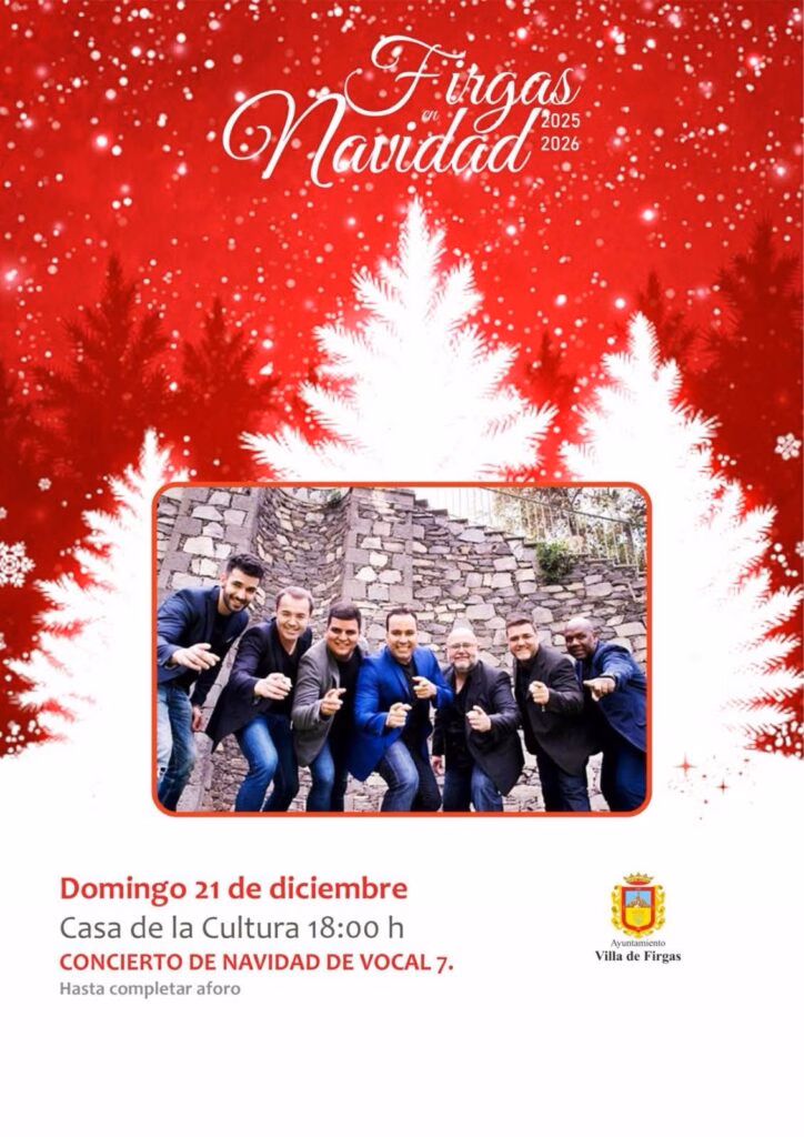 CONCIERTO DE NAVIDAD DE VOCAL 7.