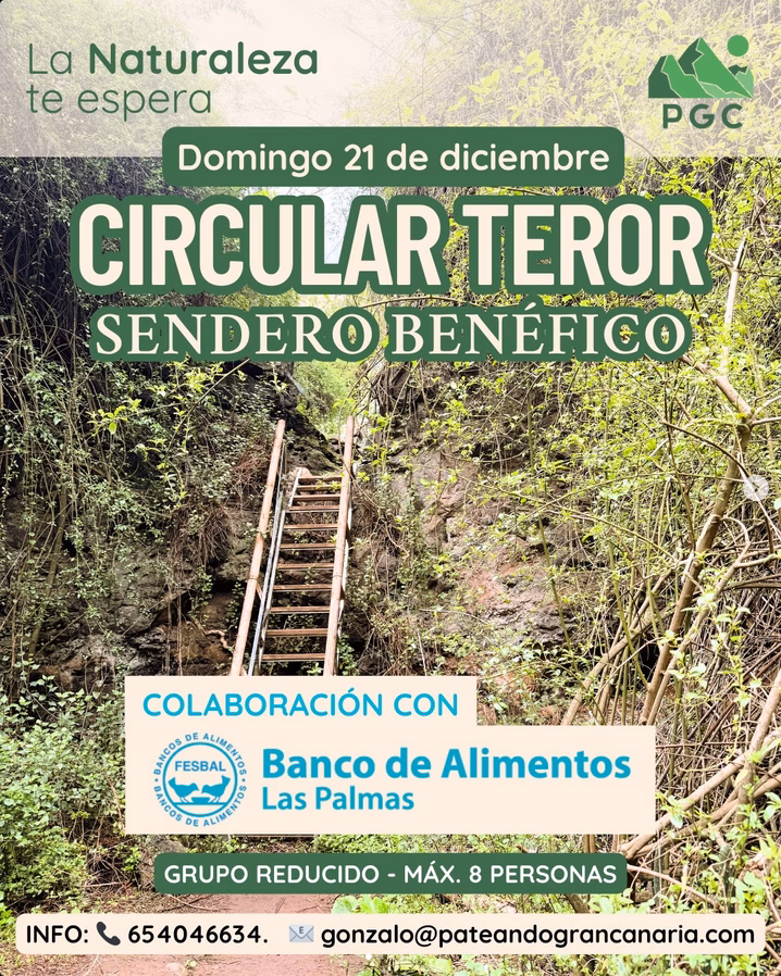 Senderismo - Circular por Teror Benéfica, con Pateando Gran Canaria.