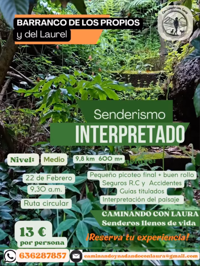 Senderismo - Barranco Los Propios y del Laurel, Moya, Gran Canaria, con @caminandoconlaura.