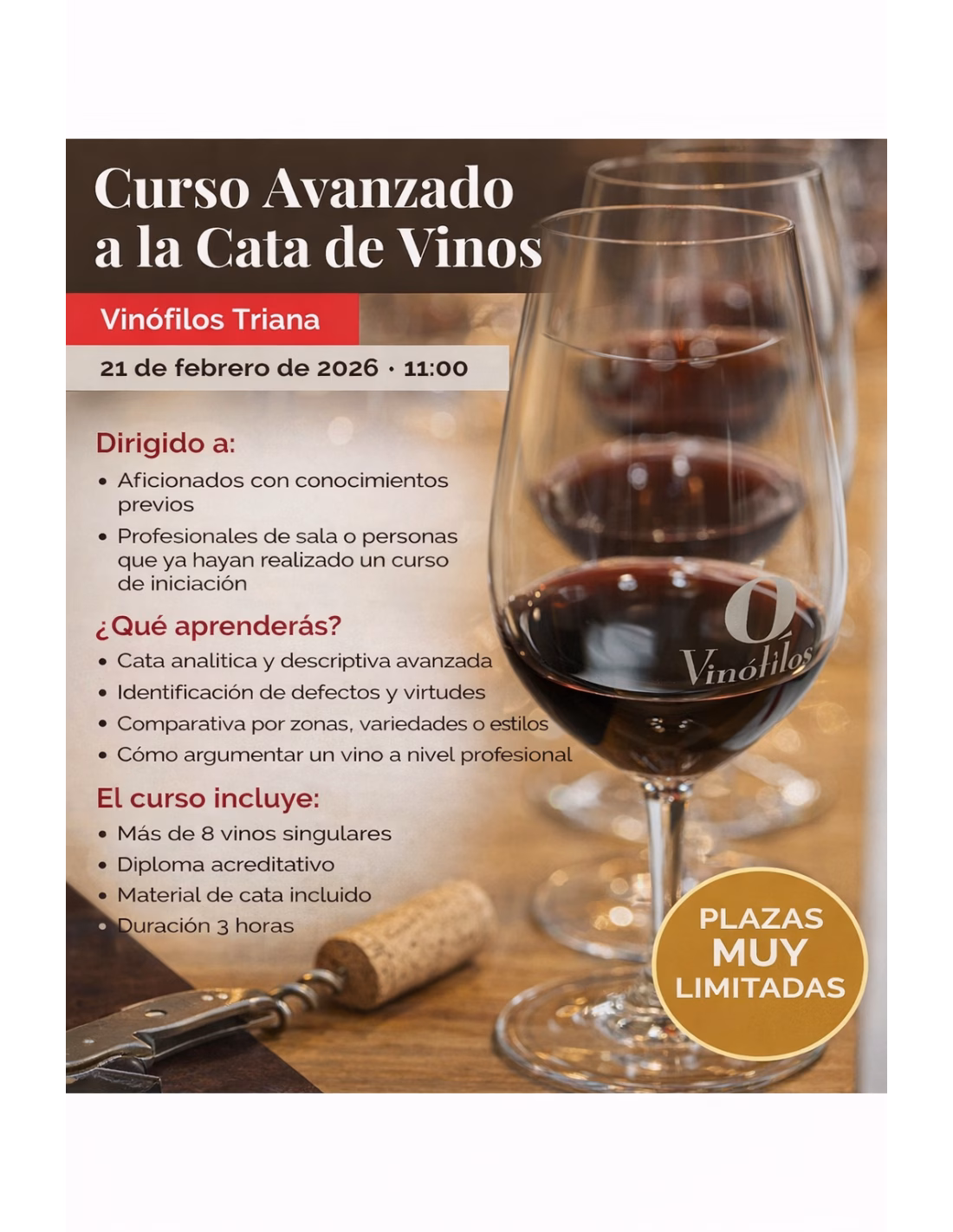 Gastro - Curso avanzado a la cata de vinos en Vinófilos, Las Palmas de Gran Canaria.
