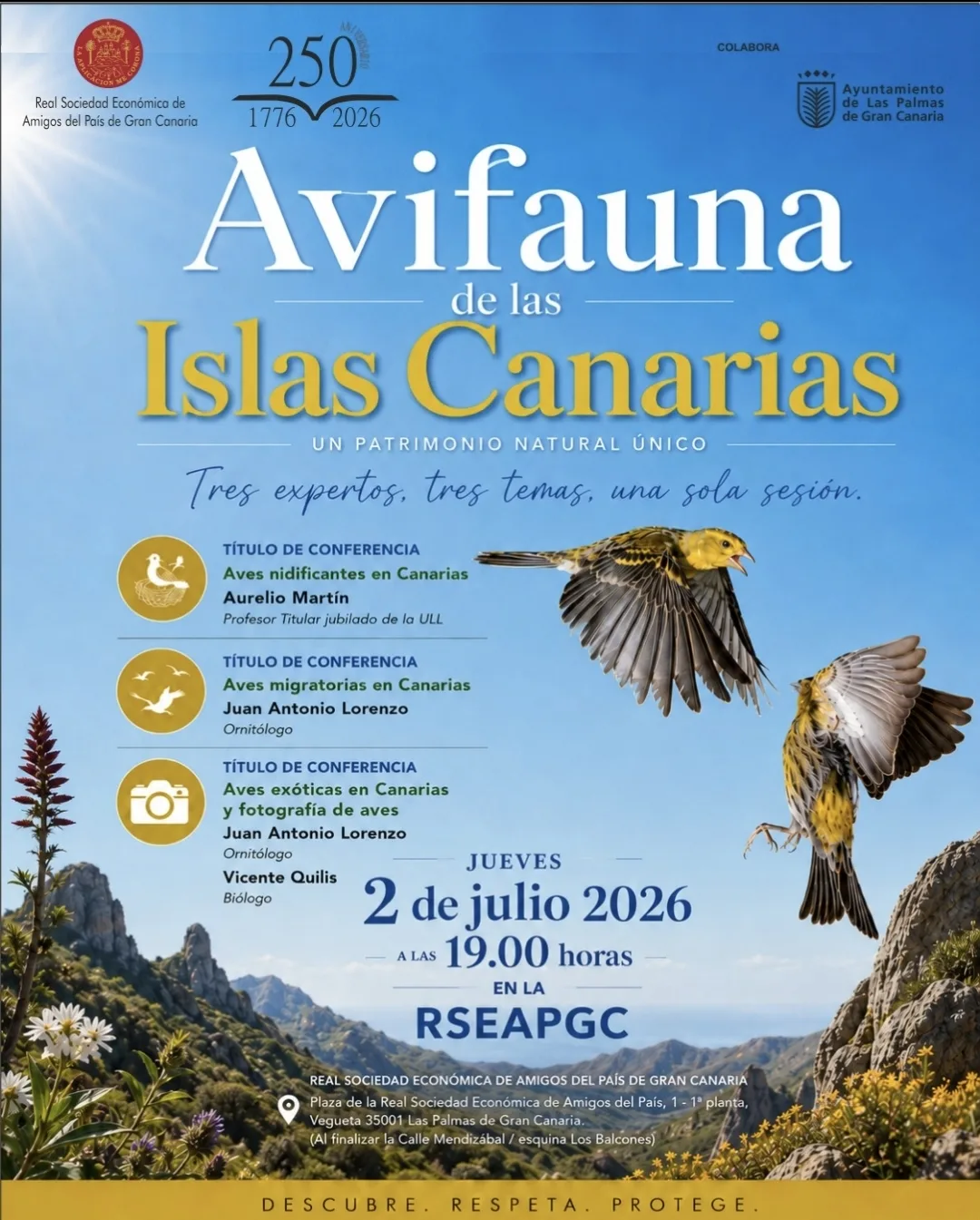 Charla Avifauna de las Islas Canarias - Eventos Gran Canaria