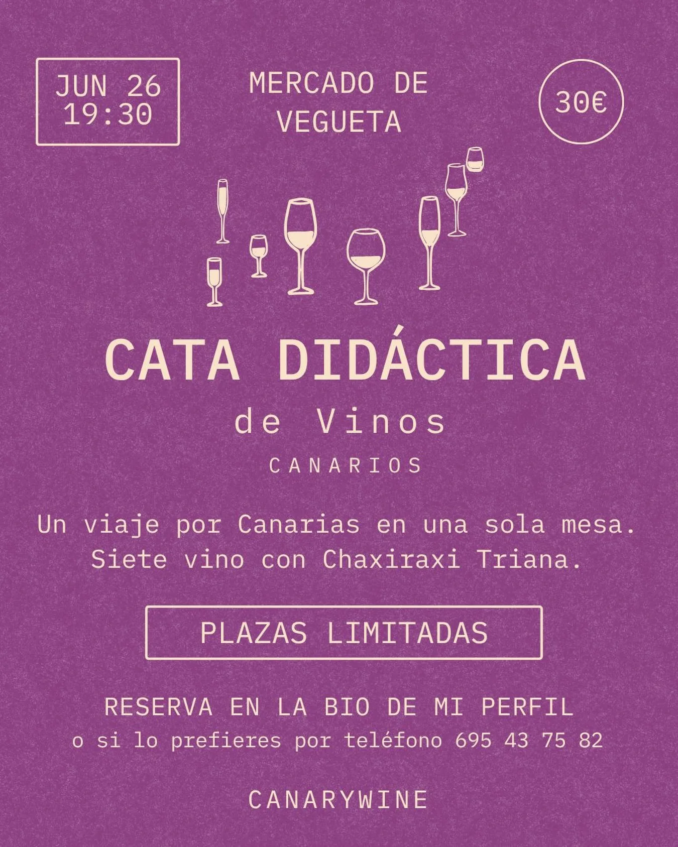 Cata didáctica de vinos canarios en Vegueta