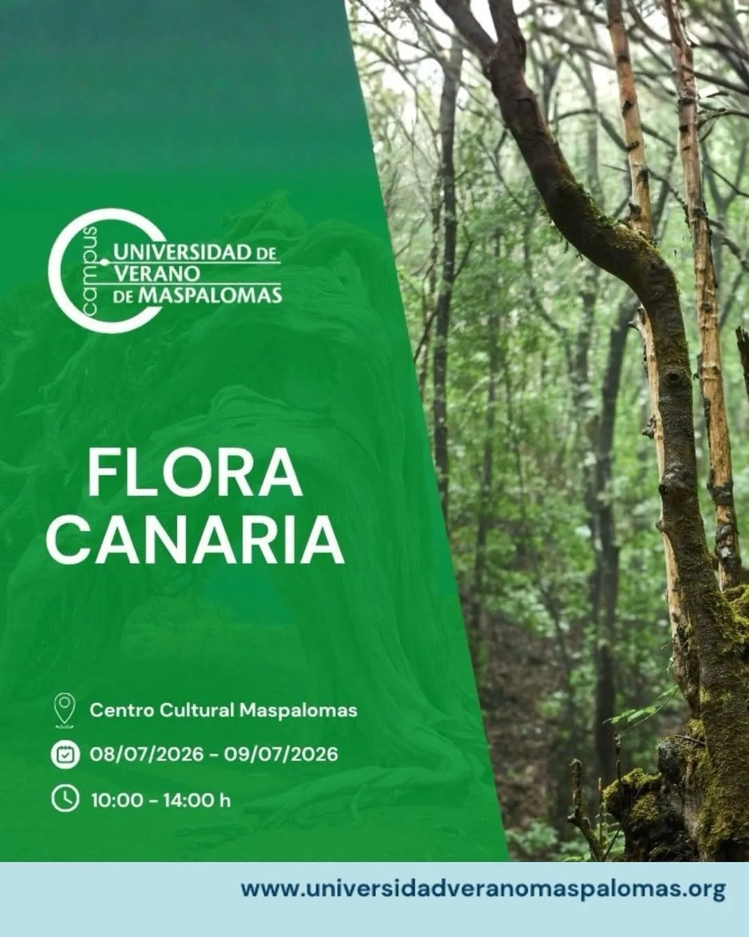 Taller Flora Canaria en Maspalomas - Eventos Gran Canaria